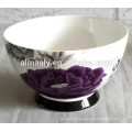 familiy ceramic noodle bowl